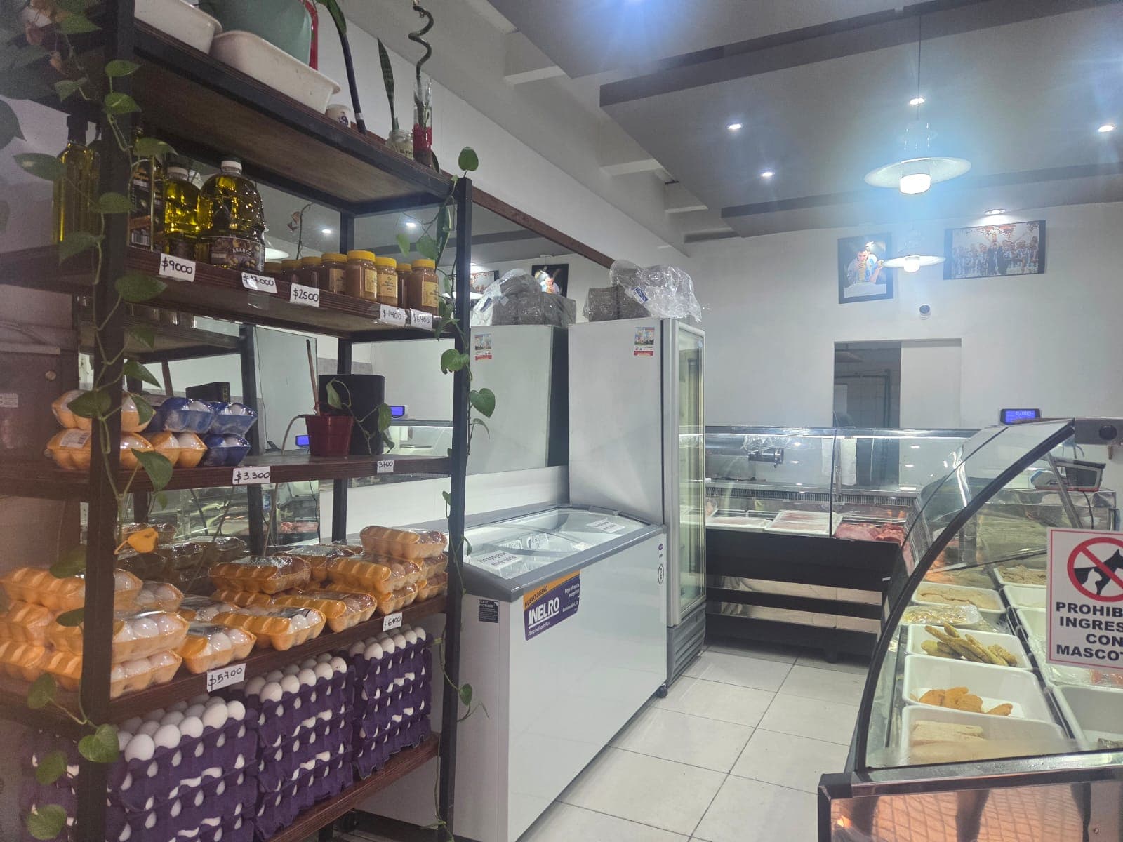 Milanesas premium y productos frescos Sol Campestre